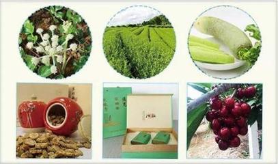 她從未站起過，卻為家鄉農產品銷售600多萬元