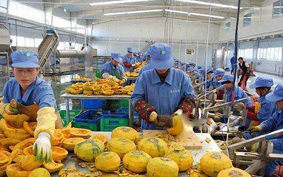 藏在海南農村的致富好項目 日用百貨篇