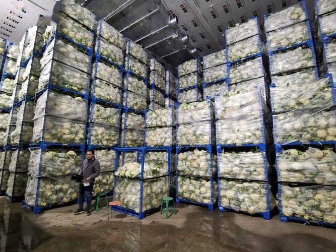 莘縣農產品冷鏈倉儲物流項目 日用百貨流通新引擎助力鄉村振興