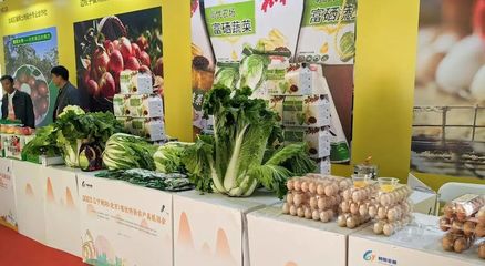 從朝陽到朝陽 | 土特產闖京城——朝陽市名優農產品亮相全國農展館1號館暨日用百貨展