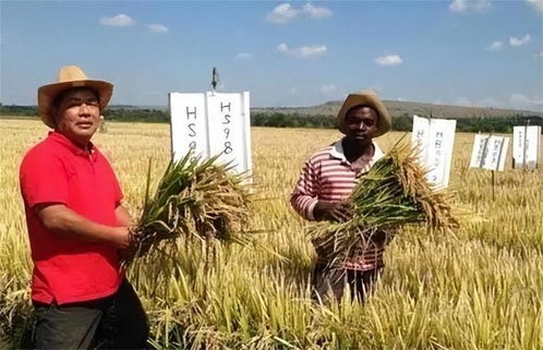 中國撤銷110萬噸訂單，正式對日下達“逐客令”，日媒警示“收回生命線”