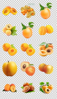 初級農產品PNG展板 從素材到設計的全方位指南