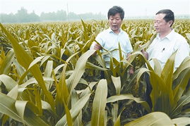 新型農業現代化夯實基礎 日用百貨產業迎來新機遇