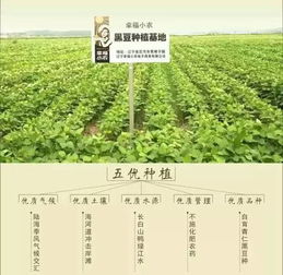 三萬元撬動鄉村致富夢 一塊地如何孕育出兩大產業奇跡