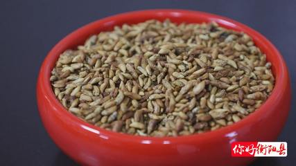 荒山種下“搖錢樹”，萬畝金槐結(jié)“金米”——初級農(nóng)產(chǎn)品賦能鄉(xiāng)村振興新路徑