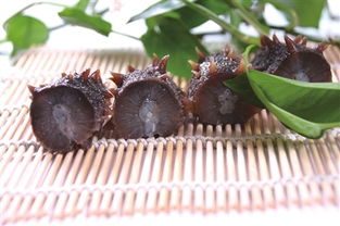 2019上海新春農產品大聯展 聚焦初級農產品，點亮新春“菜籃子”