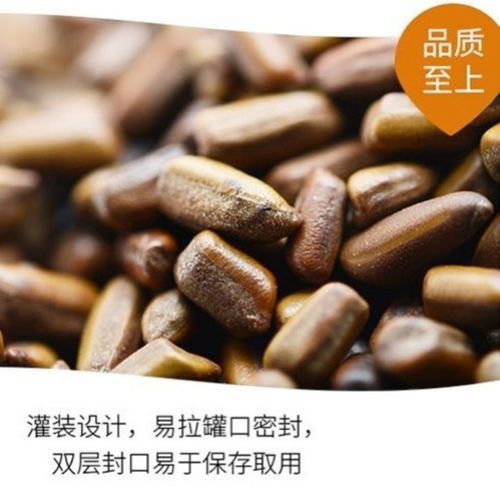 養(yǎng)生花茶新選擇 品味決明子茶與草本伴侶的和諧之美