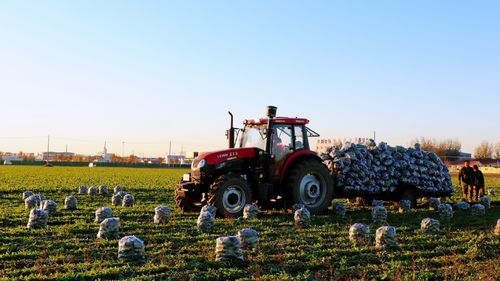 拼多多12.12全民真香節(jié) 以“重補(bǔ)”為筆，描繪品質(zhì)農(nóng)貨與增值新圖景