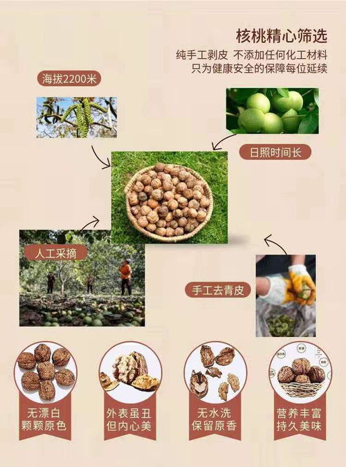 限時(shí)瘋搶！網(wǎng)紅琥珀核桃僅售19.9元，酥脆香甜引爆味蕾