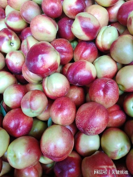 “網(wǎng)”聯(lián)天下 “鏈”通城鄉(xiāng) 南陽以互聯(lián)網(wǎng)思維拓寬大宗農(nóng)產(chǎn)品與日用百貨雙向銷路