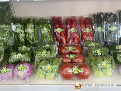 甘肅廣電總臺舉辦2021甘味特色農(nóng)產(chǎn)品貿(mào)易洽談會，助力日用百貨行業(yè)新拓展