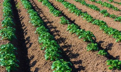 農村創業新機遇 小成本日用品百貨項目，開啟致富快車道